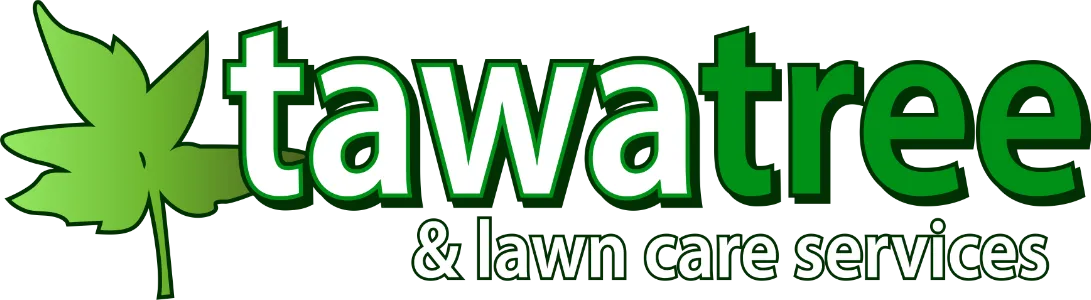 Tawa Tree Logo